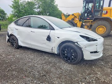 2023 tesla model-y  in White - Front Three-Quarter View - BidGoDrive Inventory